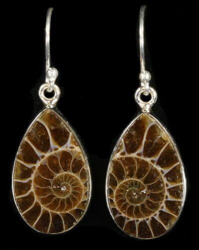 Fossil Ammonite Earrings - Sterling Silver #38133